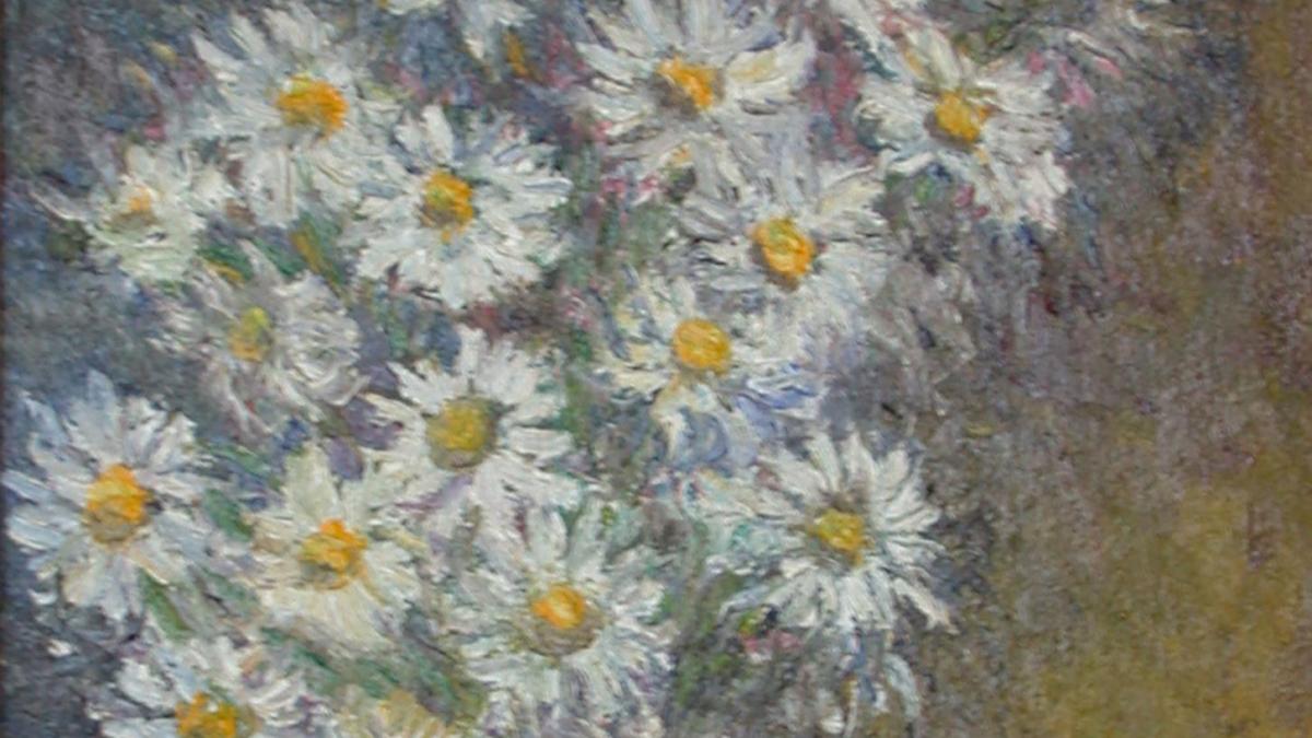 Bouquet de marguerites