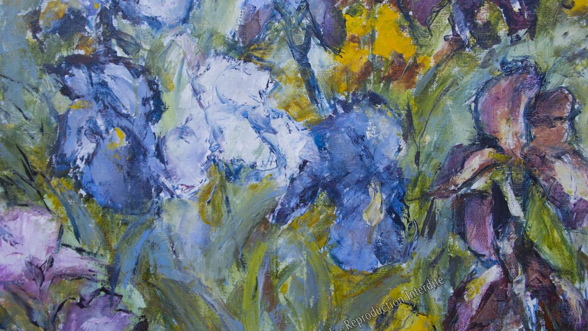 Iris à Maruejols-les-Gardons (30) (1994)