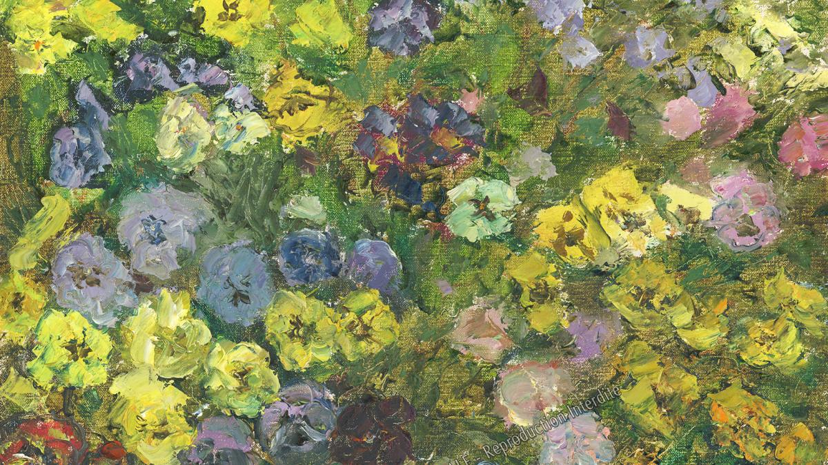 Parterre de pensées à Saint-Rémy-de-Provence (1990) 8F